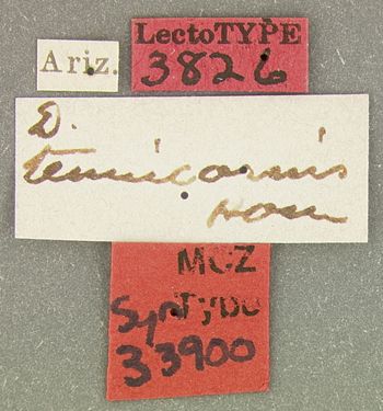 Media type: image;   Entomology 33900 Aspect: labels